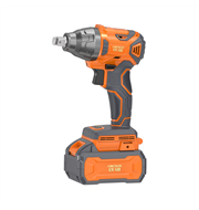 20V 늛_֣DCW1